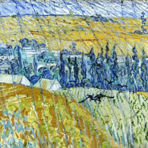 Vicenza, Van Gogh entre el cielo y el trigo