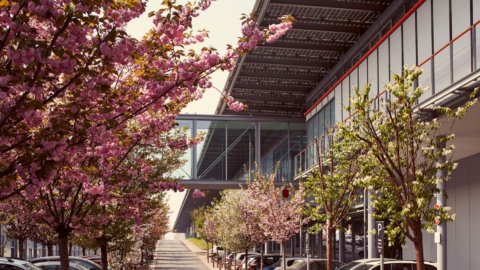 倍耐力：今晚与 Accardo 一起举办音乐会“La Fabbrica among the cherry trees”