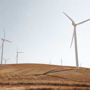 Rinnovabili, a settembre boom dell’eolico